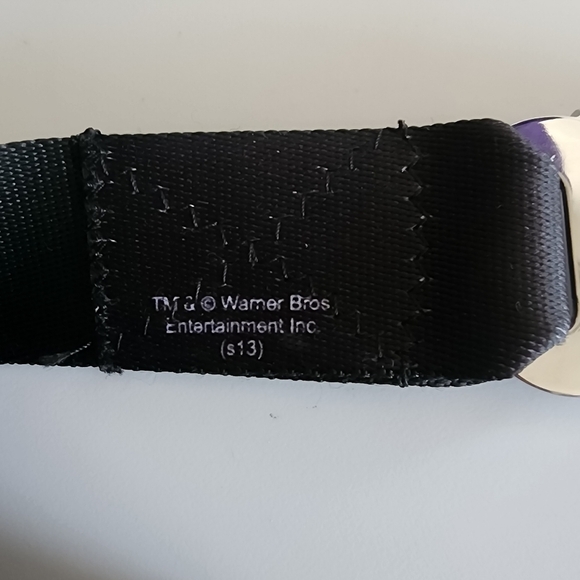 Harry Potter Seatbelt Buckle Belt